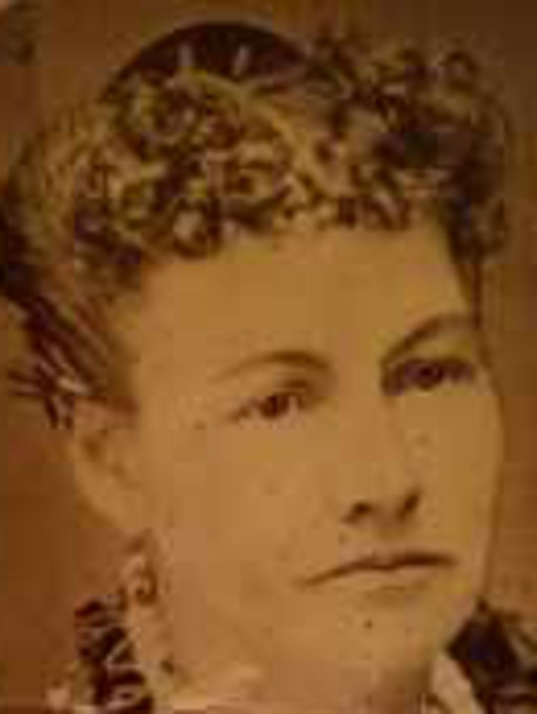 Abigail Higley (1838 - 1928) Profile